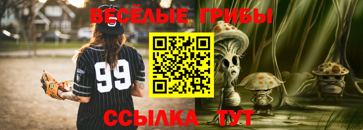 Псилоцибиновые грибы Psilocybe  Вход с VPN  Дербент 