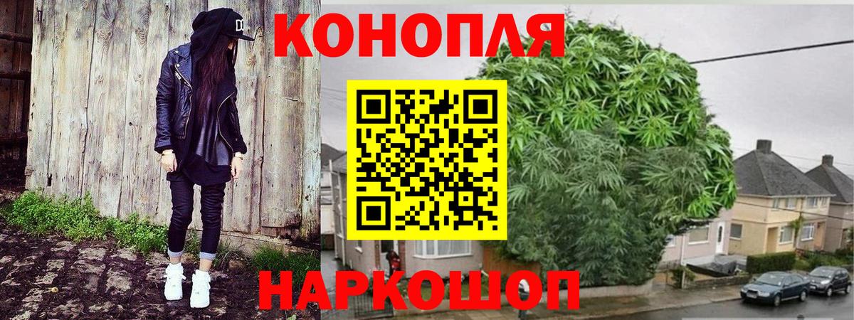 Конопля планчик  Вход с VPN  Конопля Bruce Banner  Дербент  Каннабис план 